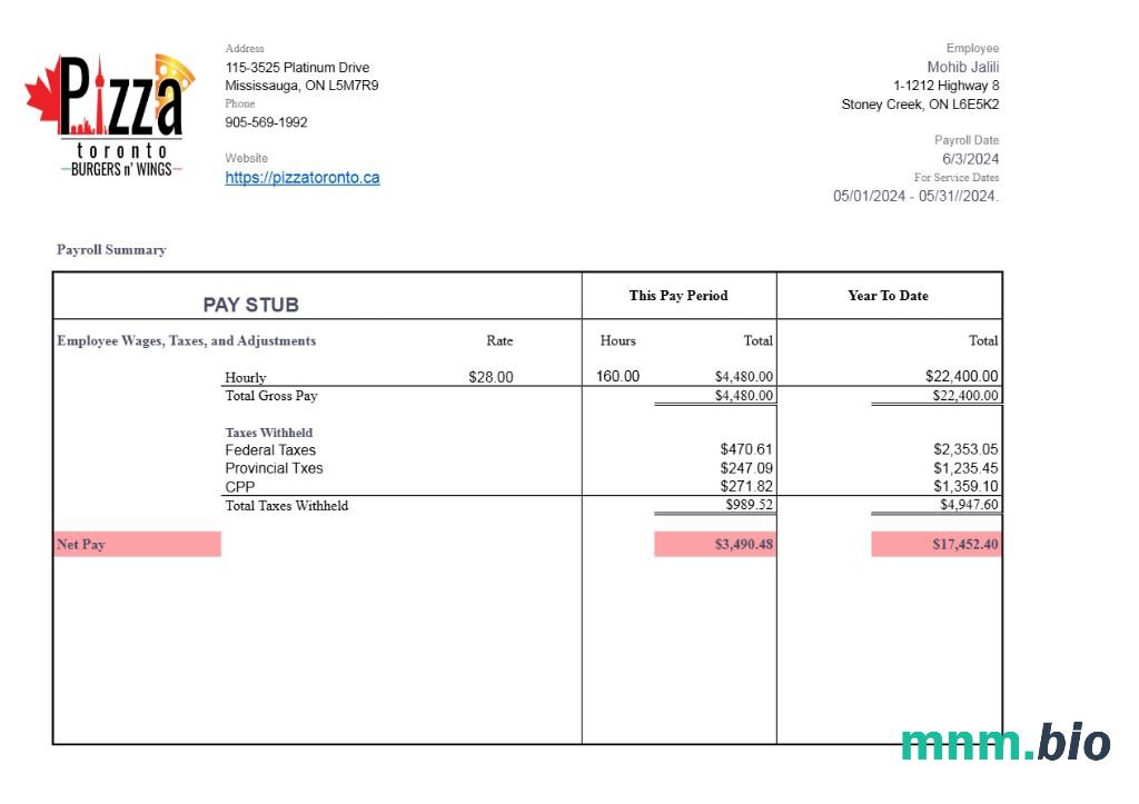 Szablon Pizza Toronto pay stub w formatach Word i PDF